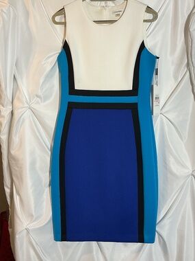 Calvin Klein Dress